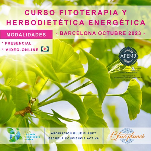 curso-fitoterapia-energetica-y-herbodietetica-presencial-OCTUBRE-2023_