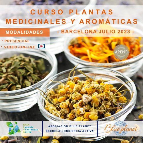 curso-plantas-medicinales-y-aromaticas-JULIO_2023_