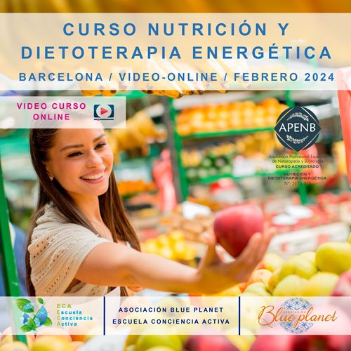 curso-nutrición-y-dietoterapia-energetica-video-online-FEBRERO-2024_