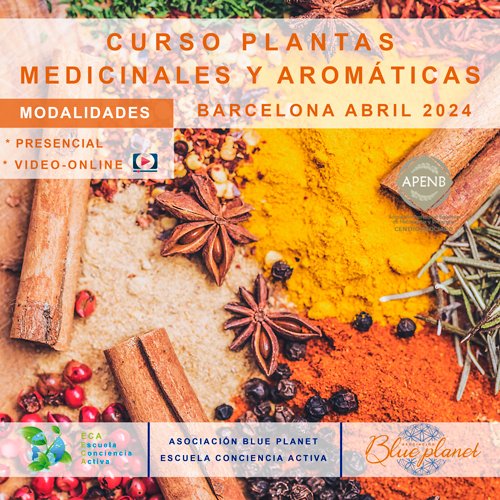 curso-de-plantas-medicinales-y-aromaticas-ABRIL_2024_