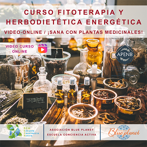 Curso Fitoterapia y Herbodietética energética Video-Online