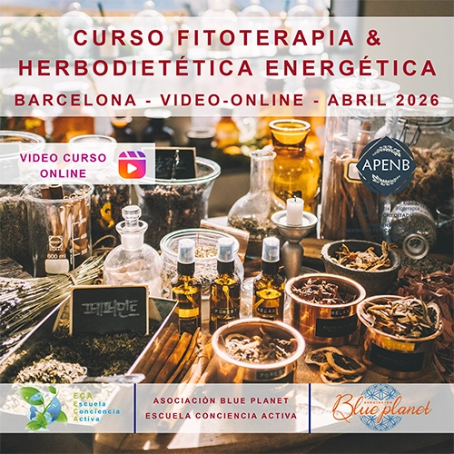 Curso Fitoterapia y Herbodietética energética Video-Online Abril 2026
